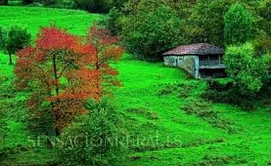 Casa de la Torre en Santo Adriano (Asturias) - Foto 20