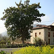 Casas Rurales La Roza 001