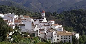 Apartamentos Jardines del Visir 002