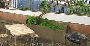 Apartamentos Jardines del Visir 003
