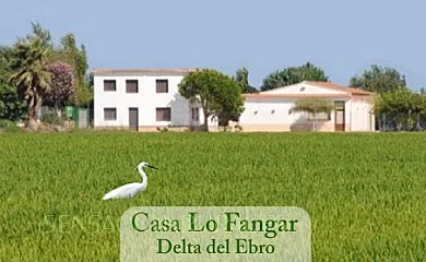 Casa LO FANGAR en Deltebre (Tarragona) - Foto 1