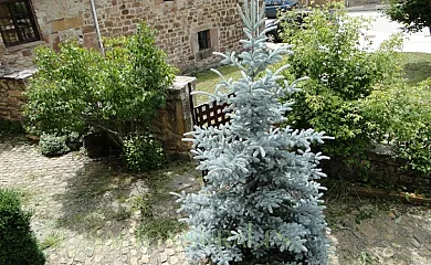 La casa de Salinas en Salinas De Pisuerga (Palencia) - Foto 7