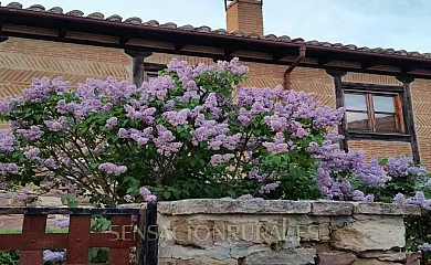 La casa de Salinas en Salinas De Pisuerga (Palencia) - Foto 18