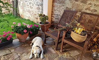 La casa de Salinas en Salinas De Pisuerga (Palencia) - Foto 22