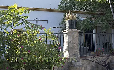 Cortijo Coracho y Casa Alameda en Osuna (Sevilla) - Foto 2