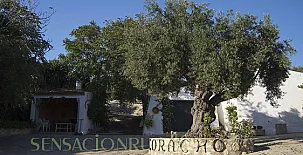 Cortijo Coracho y Casa Alameda 003