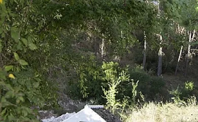 Cortijo Coracho y Casa Alameda en Osuna (Sevilla) - Foto 21