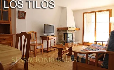 Apartamentos Benasque en Benasque (Huesca) - Foto 2