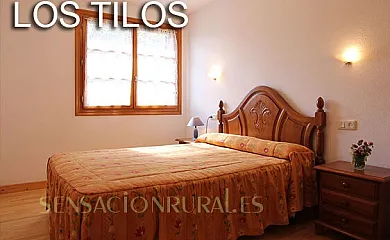 Apartamentos Benasque en Benasque (Huesca) - Foto 3