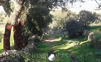 Lorenzo FELIX GOMEZ en Encinasola (Huelva) - Foto 10