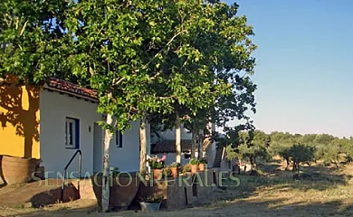 Rural El Parral en Burgohondo (Ávila) - Foto 1