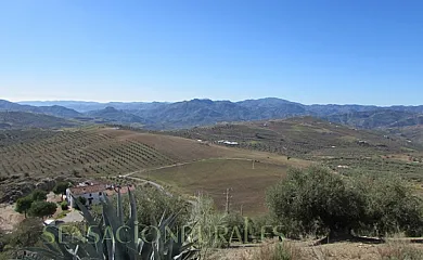 Cerro Alcolea en Periana (Málaga) - Foto 15