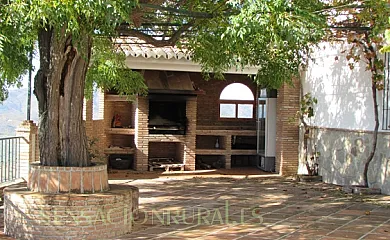 Cerro Alcolea en Periana (Málaga) - Foto 21