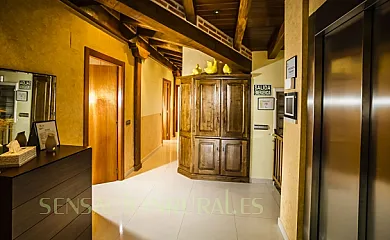 Casa Rural Spa La Chirumba en Aldeatejada (Salamanca) - Foto 12