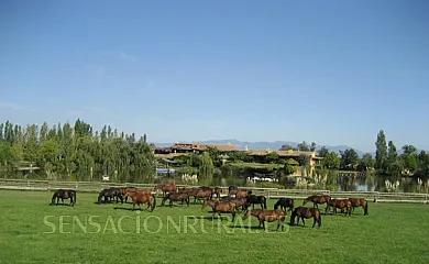 Yeguada Senillosa en Castello D´Empuries (Girona) - Foto 1