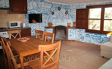 Yeguada Senillosa en Castello D´Empuries (Girona) - Foto 12