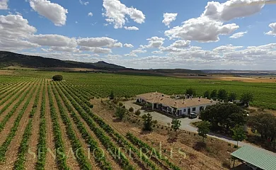 Casa rural Finca El Romeral en Alpera (Albacete) - Foto 1