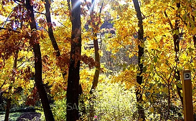 La Casilla en Prádena de Atienza (Guadalajara) - Foto 18