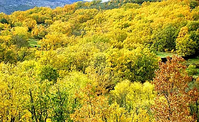 La Casilla en Prádena de Atienza (Guadalajara) - Foto 19