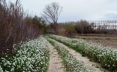 Hospital del Temple Casa Rural en Boquiñeni (Zaragoza) - Foto 17