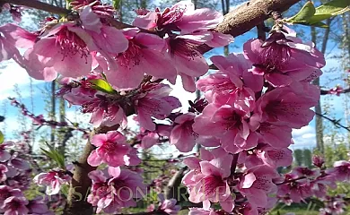 Hospital del Temple Casa Rural en Boquiñeni (Zaragoza) - Foto 18