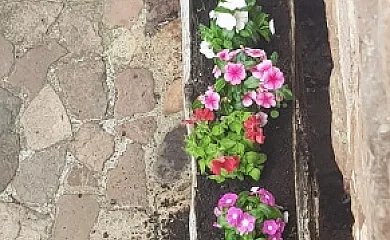 Casa Rural Pocotrigo en Peñarrubia (Cantabria) - Foto 25