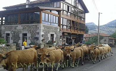 Posada El Mirador en Lavin de Soba (Cantabria) - Foto 1