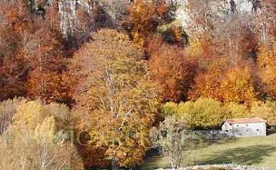 Posada El Mirador en Lavin de Soba (Cantabria) - Foto 14