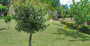 El Solei - Porqueres - Girona 003