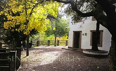 Cortijo La Besana en Hornos de Segura (Jaén) - Foto 17