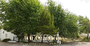 Cortijo Los Carriles 0016