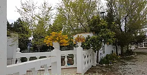 Cortijo Los Carriles 0017