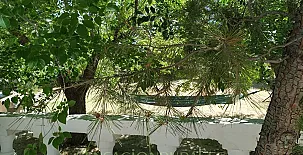 Cortijo Los Carriles 0018