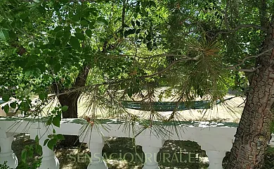 Cortijo Los Carriles en Vélez Rubio (Almería) - Foto 18