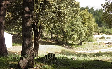 El Pinar de la Lobera I, II y III en Huéscar (Granada) - Foto 12