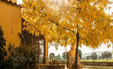 Los Pilones en La Haba (Badajoz) - Foto 6