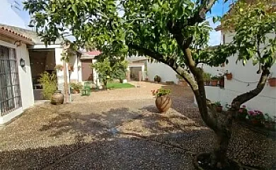 Casa Rural Los Abuelos de Mengabril en Mengabril (Badajoz) - Foto 8