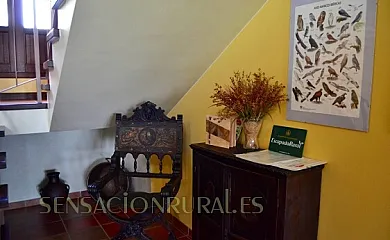 Casa Rural Alcornocalejo en Calera de León (Badajoz) - Foto 10