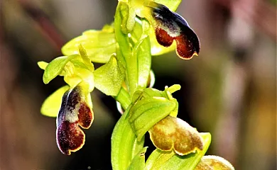 Casa Gerbe en Gerbe (Huesca) - Foto 11