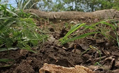 Casa Gerbe en Gerbe (Huesca) - Foto 14