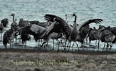 Casa Gerbe en Gerbe (Huesca) - Foto 16