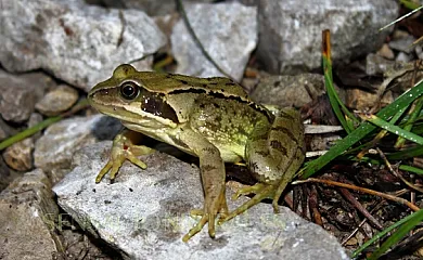 Casa Gerbe en Gerbe (Huesca) - Foto 20