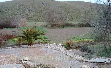 Huerta del Moreno en Usagre (Badajoz) - Foto 10