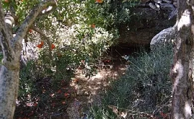 Huerta del Moreno en Usagre (Badajoz) - Foto 13