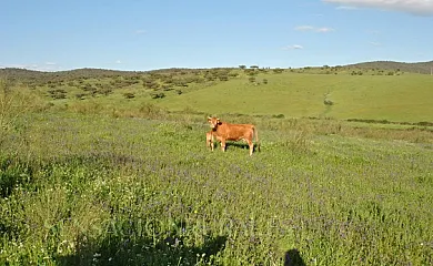 Complejo Rural La Giralda en Burguillos Del Cerro (Badajoz) - Foto 13