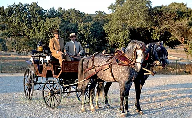 Complejo Rural La Giralda en Burguillos Del Cerro (Badajoz) - Foto 14