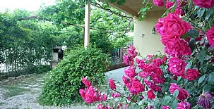 C.R. El Molino de Alocén 006