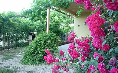 C.R. El Molino de Alocén en Alocén (Guadalajara) - Foto 6