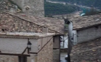 C.R. El Molino de Alocén en Alocén (Guadalajara) - Foto 8