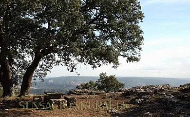 C.R. El Molino de Alocén en Alocén (Guadalajara) - Foto 14